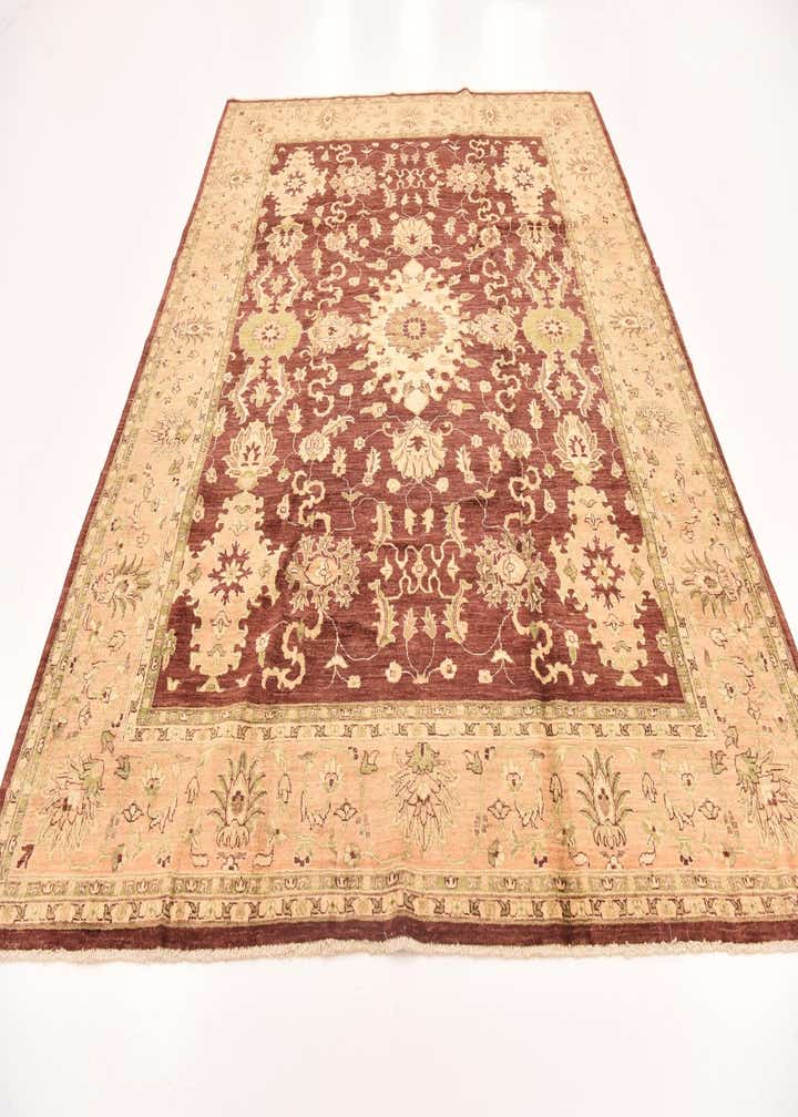 8' 2 x 9' 11 Hand Knotted Peshawar Ziegler Rug