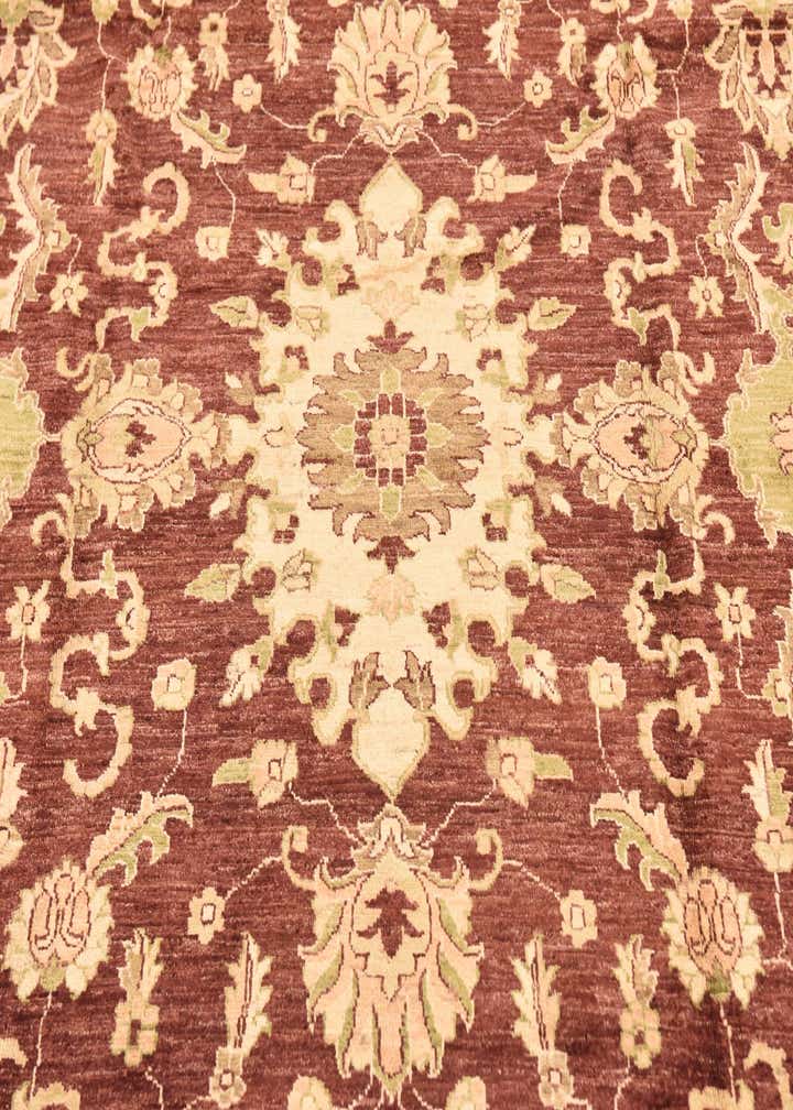 8' 2 x 9' 11 Hand Knotted Peshawar Ziegler Rug