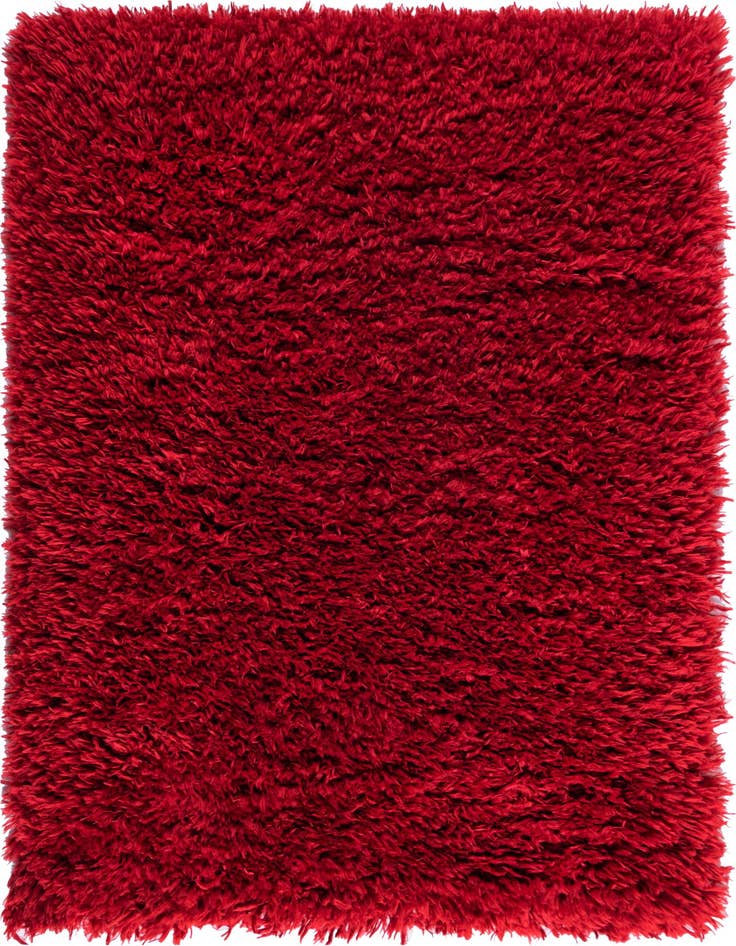 Detail image of 2' x 3' Infinity Shag Rug