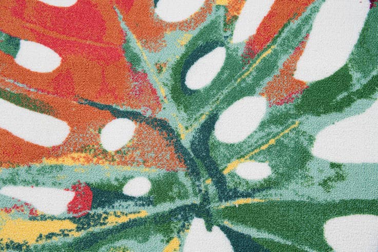 Detail image of 6' x 8' 10 Agra Rug