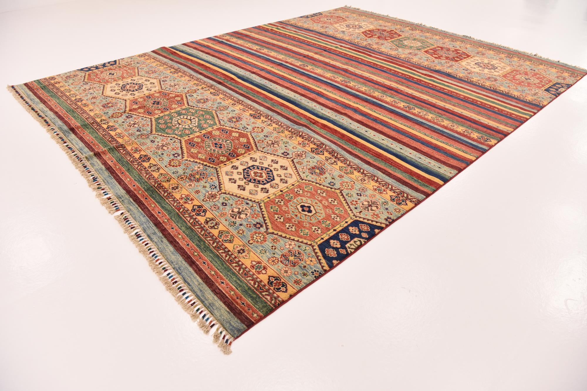 9' x 11' 10 Hand Knotted Ariana Ziegler Rug
