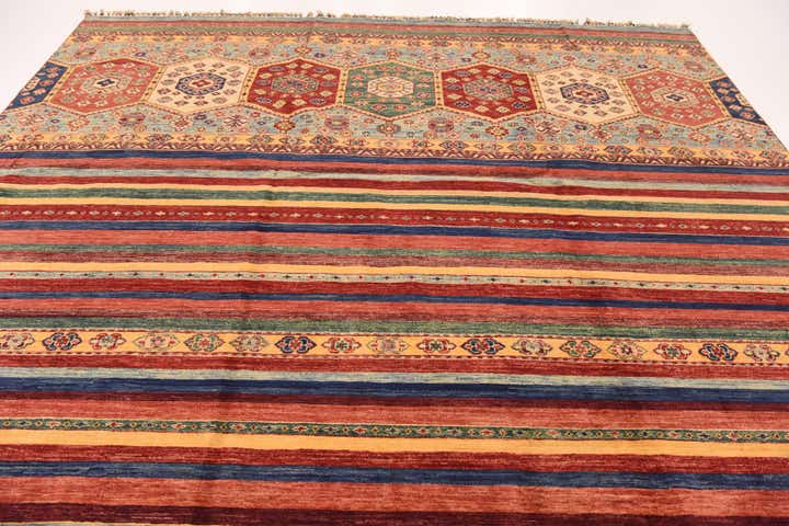 9' x 11' 10 Hand Knotted Ariana Ziegler Rug