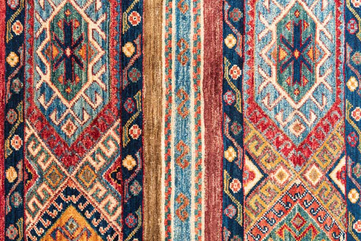 8' 6 x 11' 5 Hand Knotted Ariana Ziegler Oriental Rug