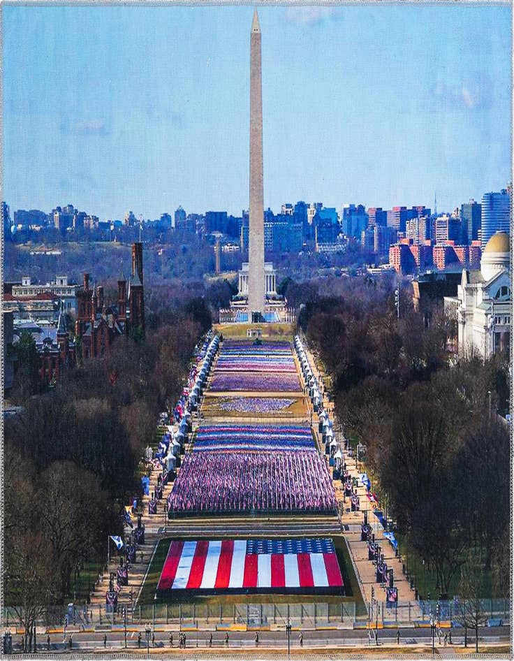 Detail image of 4' x 5' 7 Capitol Rug