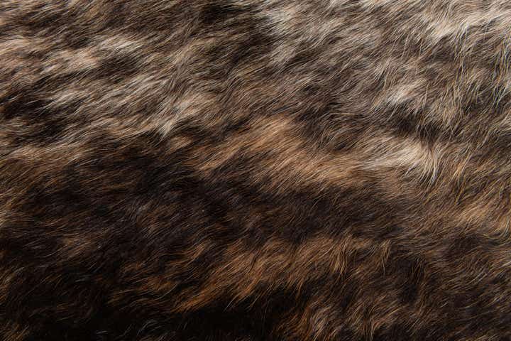 2' 2 x 2' 11 Cowhide Leather Rug