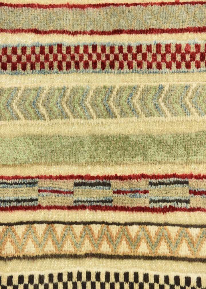 3' 2 x 5' Hand Knotted Darya Rug