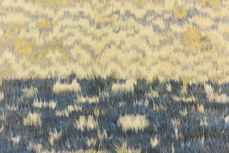 Detail image of 5' x 6' 4 Hand Knotted Darya Wool Rug