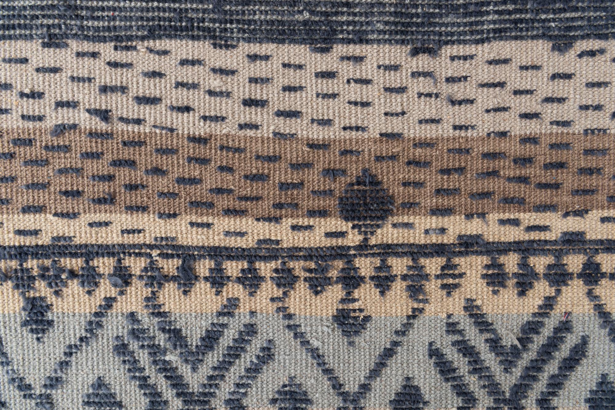9' 9 x 14' 4 Hand Knotted Darya Wool Rug
