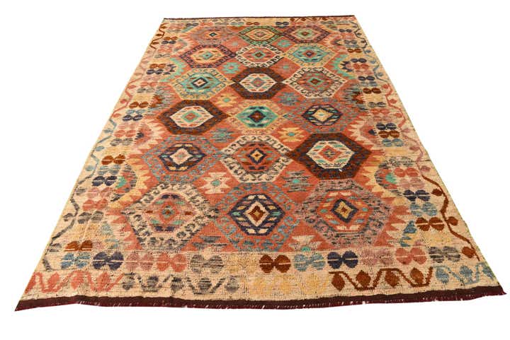 6' 9 x 10' 3 Hand Knotted Darya Wool Rug