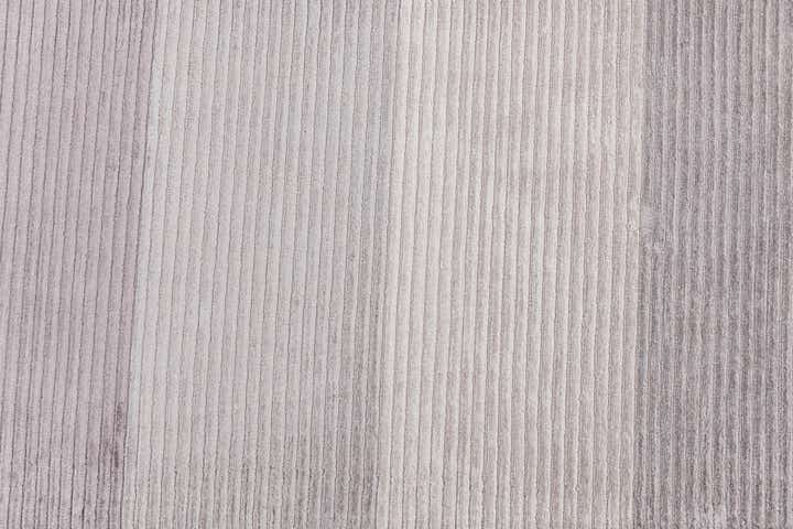 6' 7 x 9' 8 Hand Knotted Darya Wool Rug