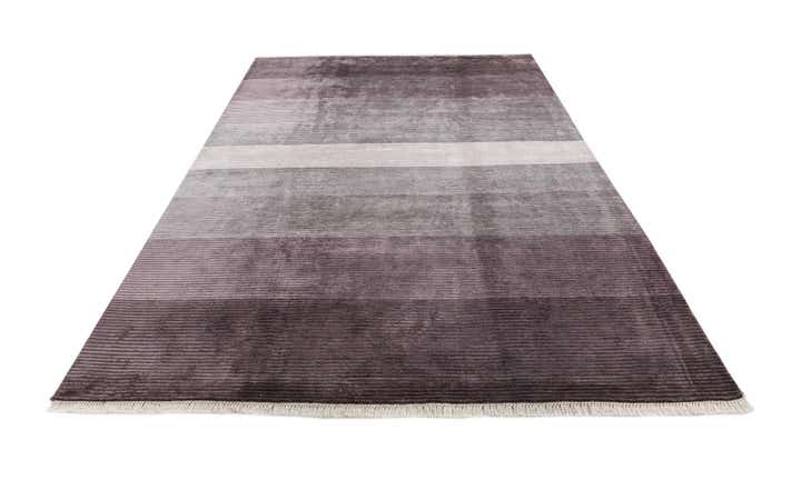 6' 7 x 10' Hand Knotted Darya Wool Rug