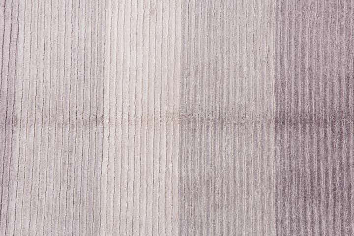 4' 11 x 6' 9 Hand Knotted Darya Wool Rug