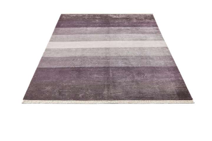 4' 11 x 6' 5 Hand Knotted Darya Wool Rug