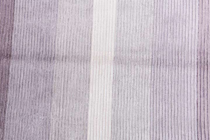 4' 11 x 6' 7 Hand Knotted Darya Wool Rug