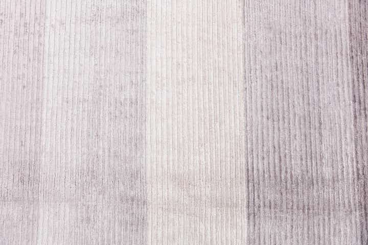 6' 7 x 9' 10 Hand Knotted Darya Wool Rug