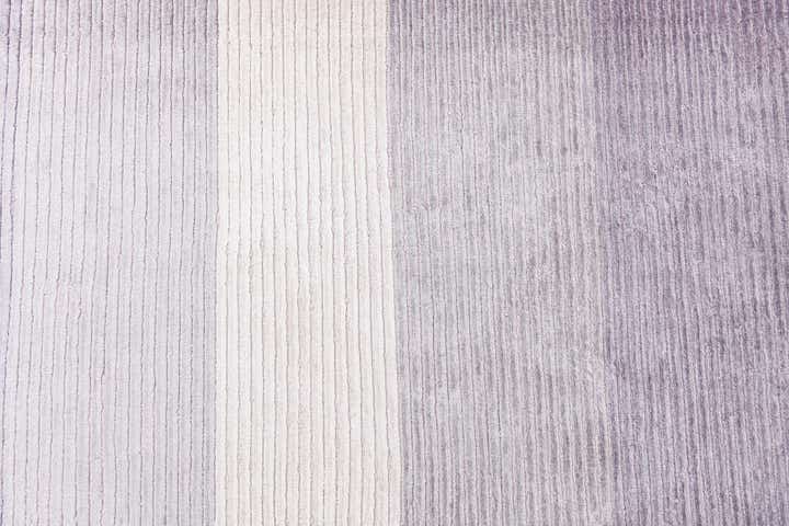 6' 7 x 9' 10 Hand Knotted Darya Wool Rug