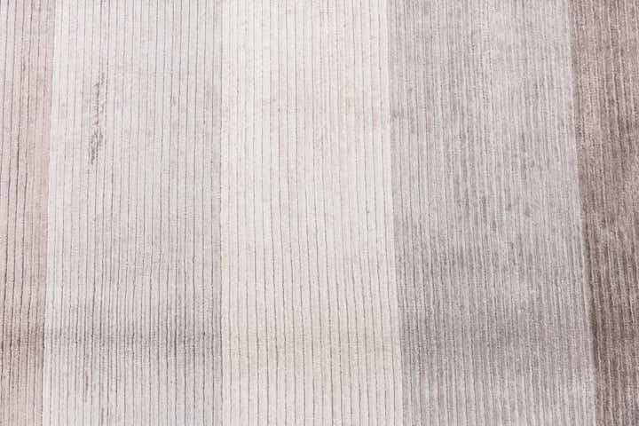 6' 6 x 9' 10 Hand Knotted Darya Wool Rug