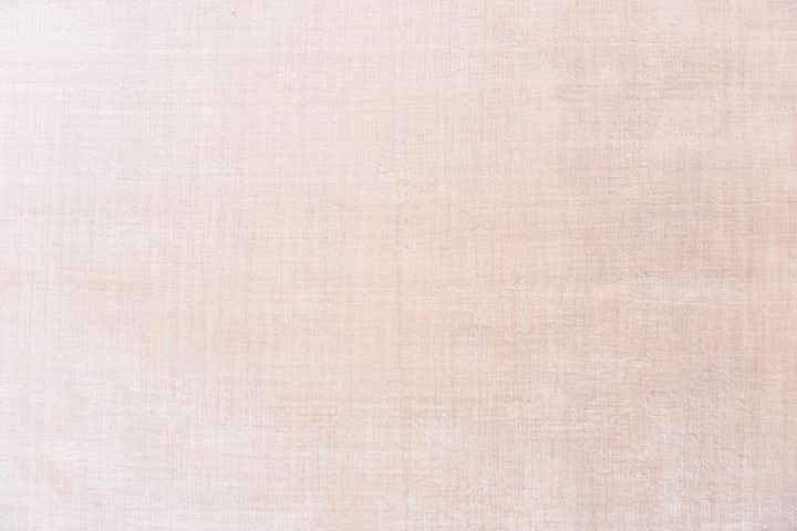 6' 9 x 9' 10 Hand Knotted Darya Wool Rug