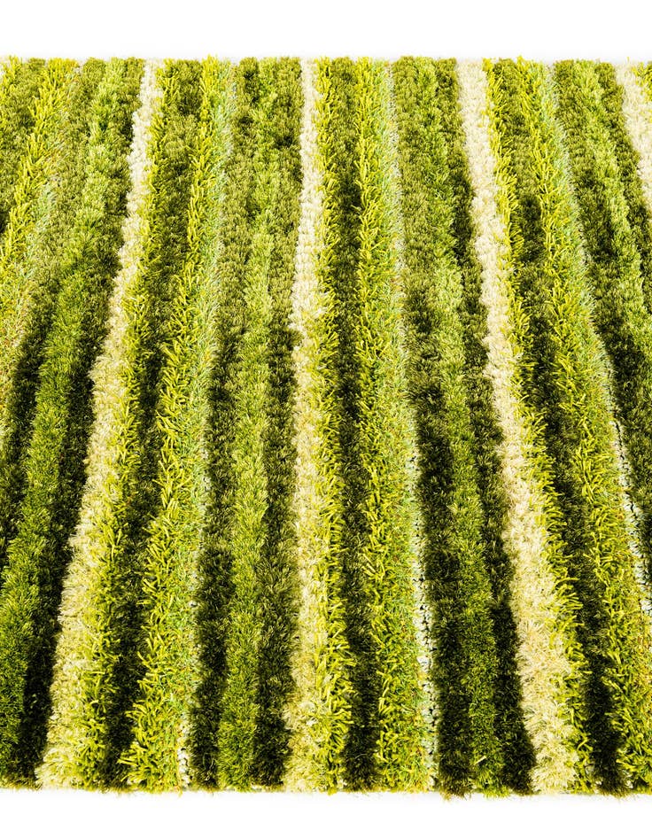 Detail image of 5' x 6' 7 Multi-Tone Shag Rug