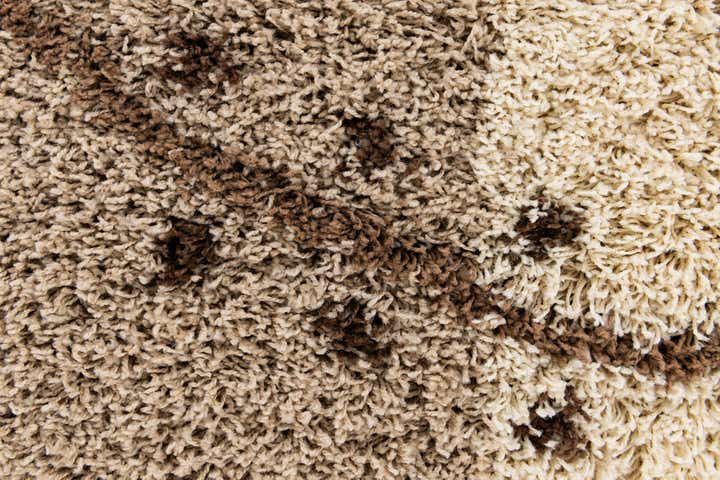5' 3 x 7' 7 Multi-Tone Shag Rug
