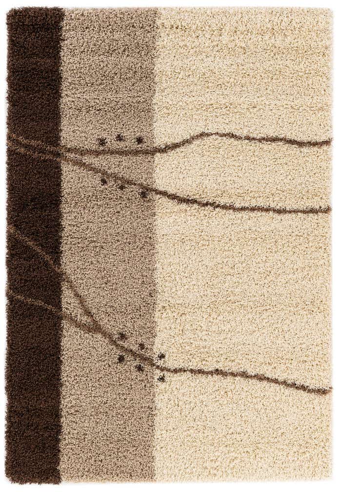 5' 3 x 7' 7 Multi-Tone Shag Rug