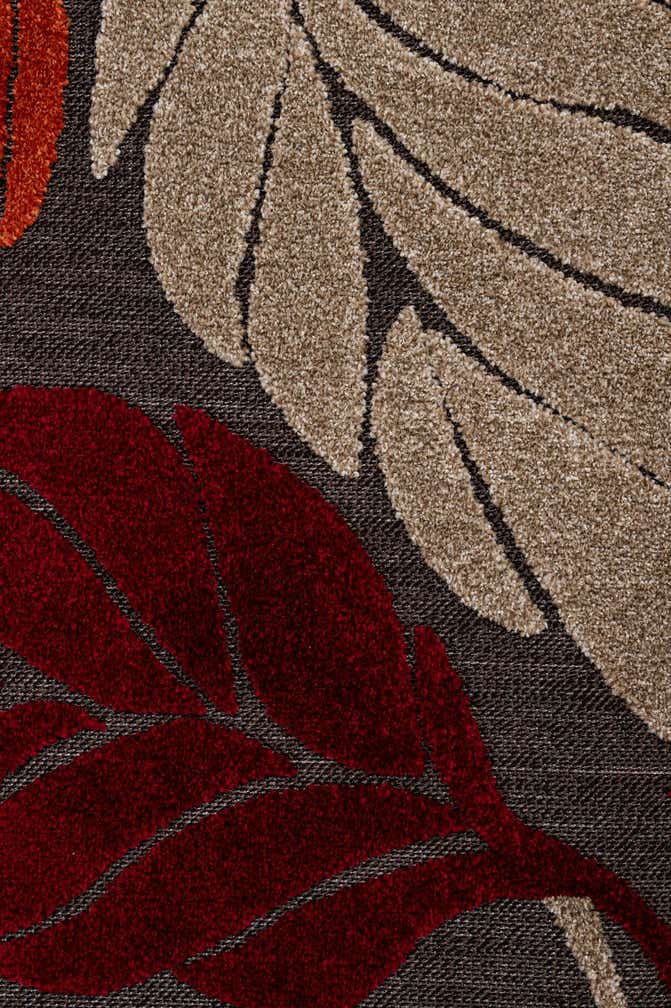 240cm x 305cm Fácil de limpiar Botanical Alfombra Comprar todos los estilos