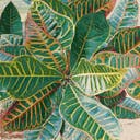 Color variant
