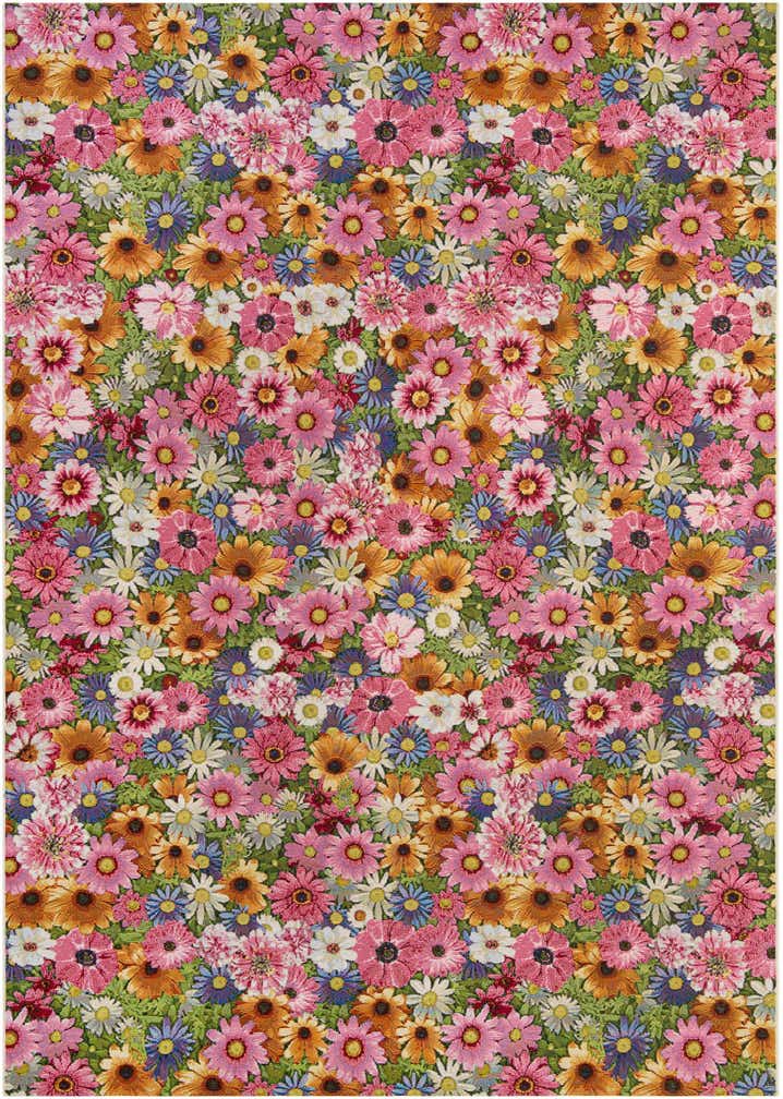 240cm x 335cm Fácil de limpiar Botanical Alfombra Comprar todos los estilos