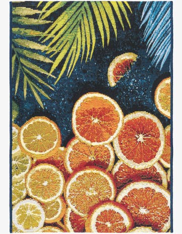 Easy-Clean Coastal Indoor / Outdoor Rug