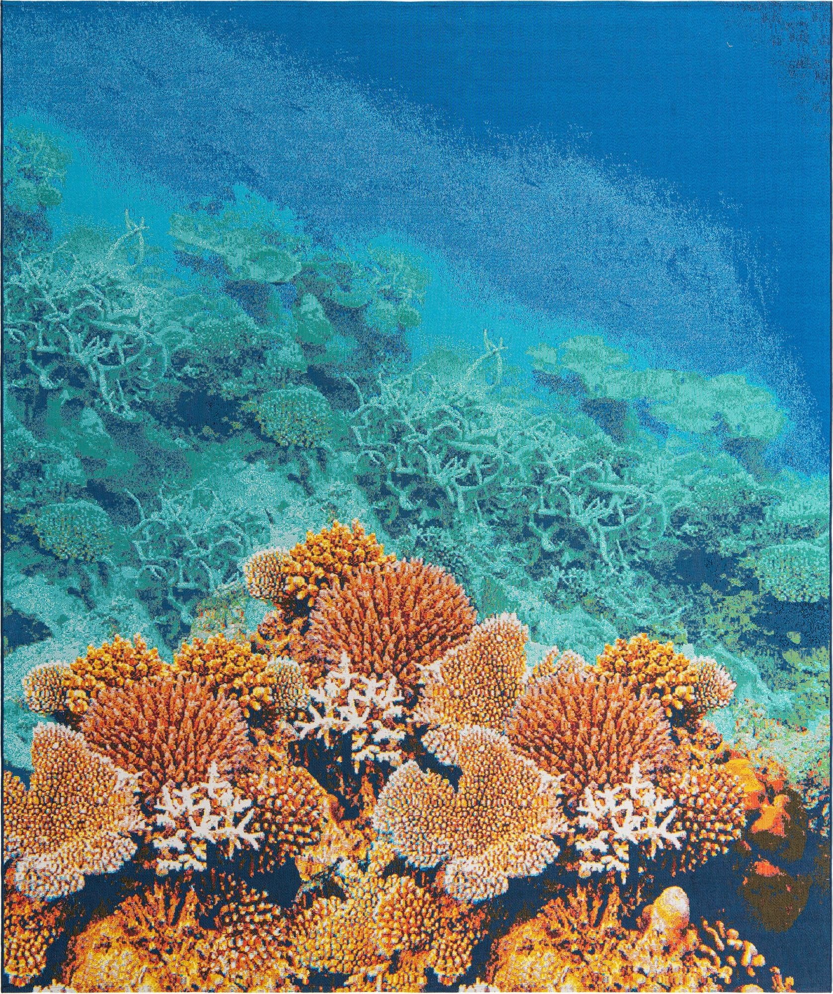 10' x 12'  Washable Coastal Indoor / Outdoor Rug