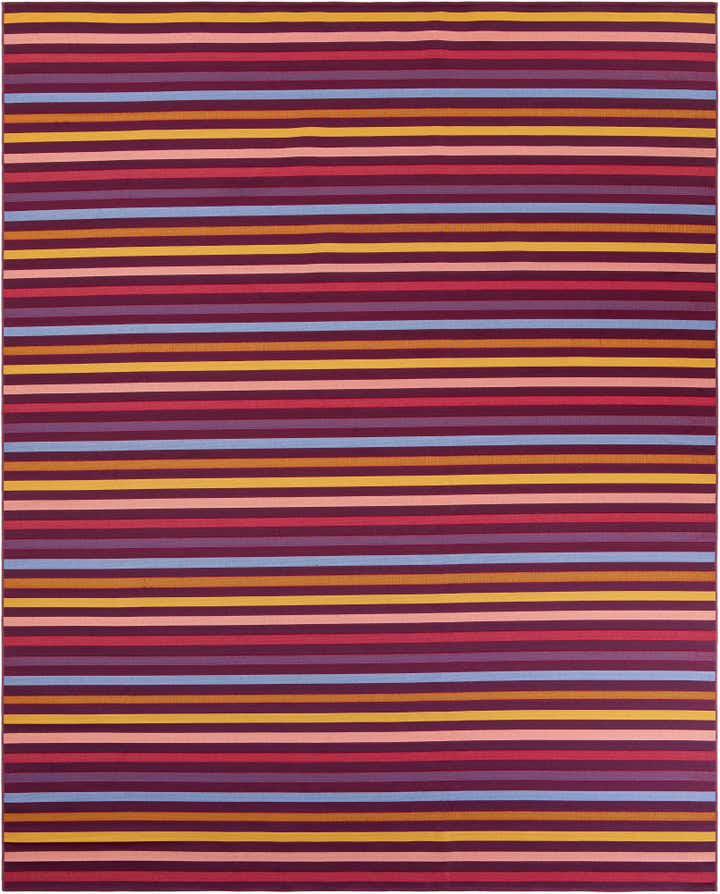 305cm x 400cm Facile à nettoyer Ribbon Tapis Intérieur / Extérieur