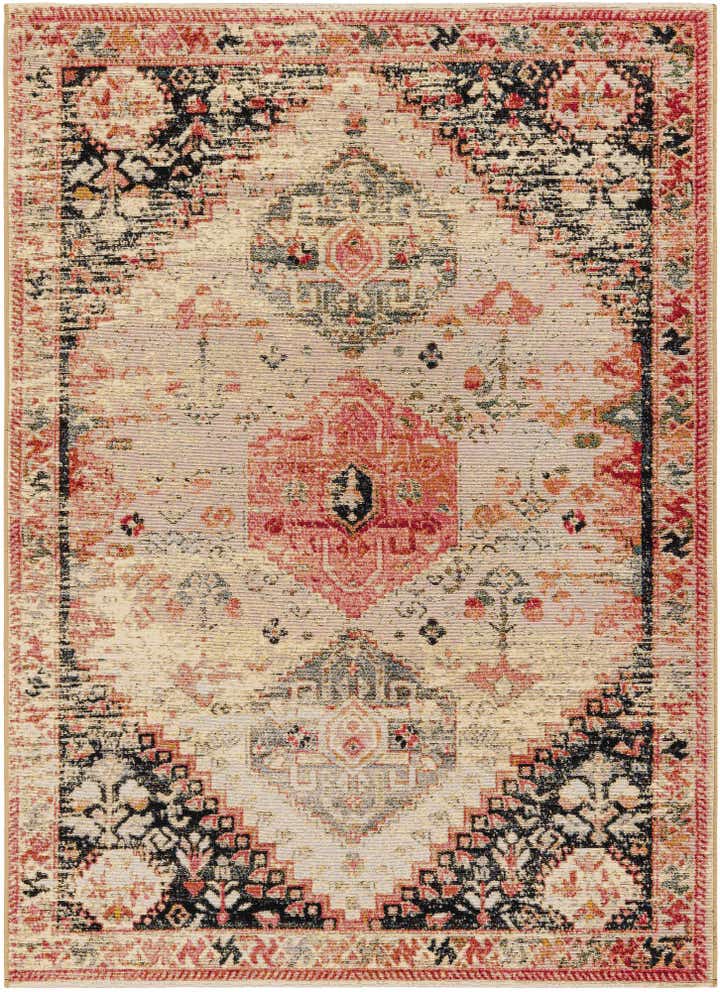 5' x 7' Easy-Clean Traditional Indoor / Outdoor Rug