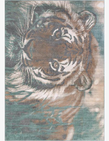 10' x 14' Safari Rug