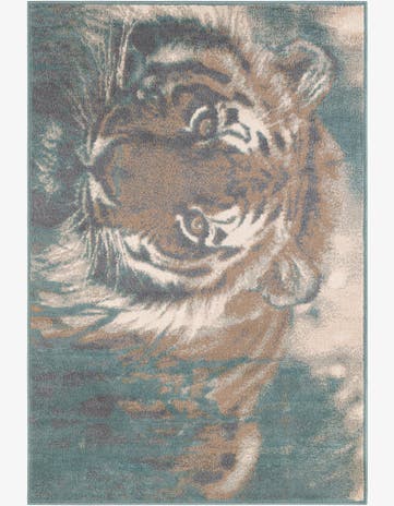 4' x 6' Savannah Rug