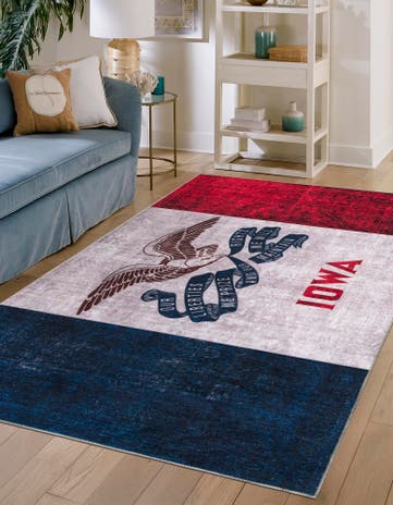 2' x 3' Iowa The Flag Collection Rug