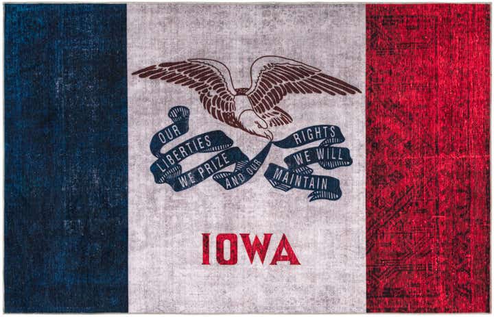 8' x 11' Iowa The Flag Collection Rug