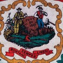 Color variant