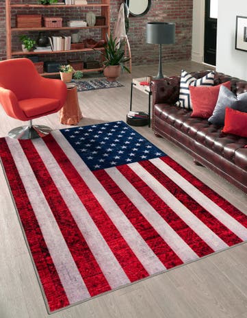 2' x 3' USA The Flag Collection Rug