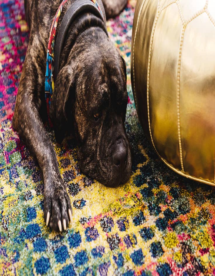 Detail image of 5' x 8' Washable Theia Rug