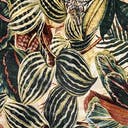 Rug Multicolored Swatch link