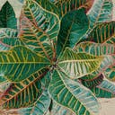 Color variant