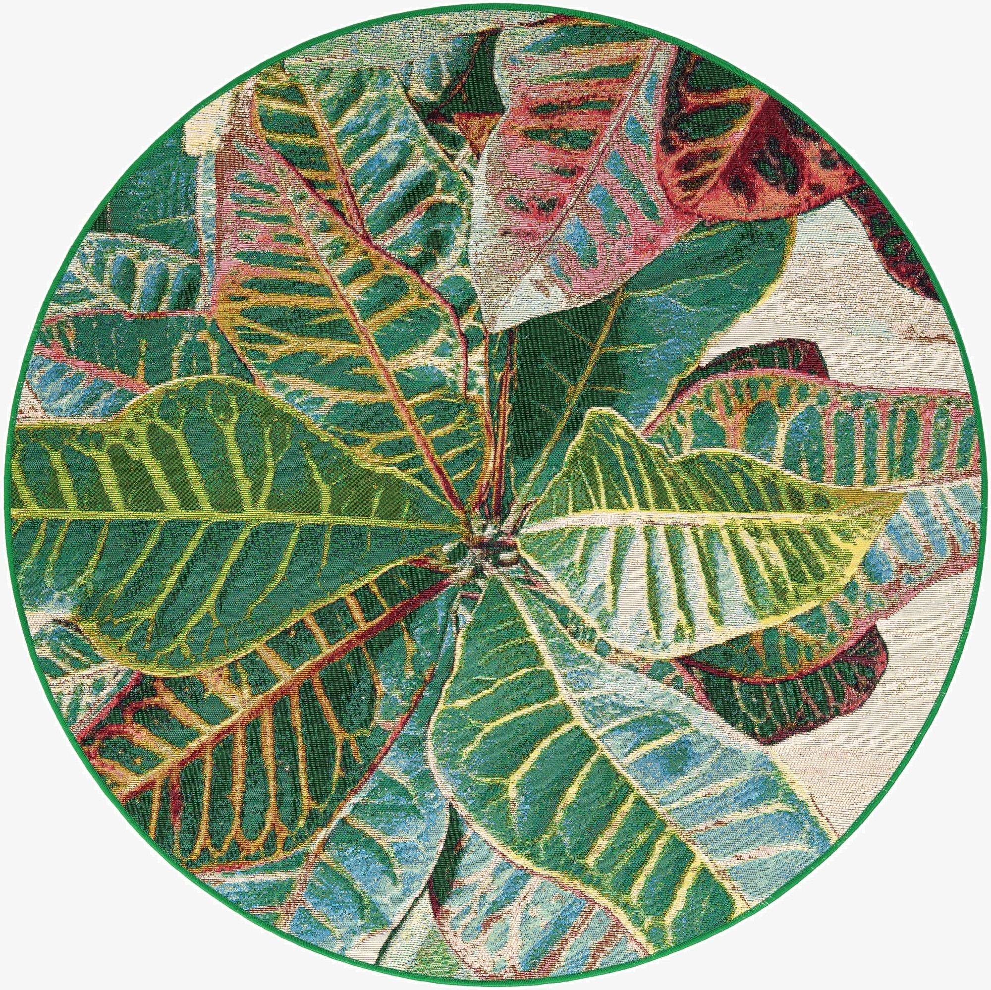 5' x 5'  Washable Botanical Indoor / Outdoor Round Rug