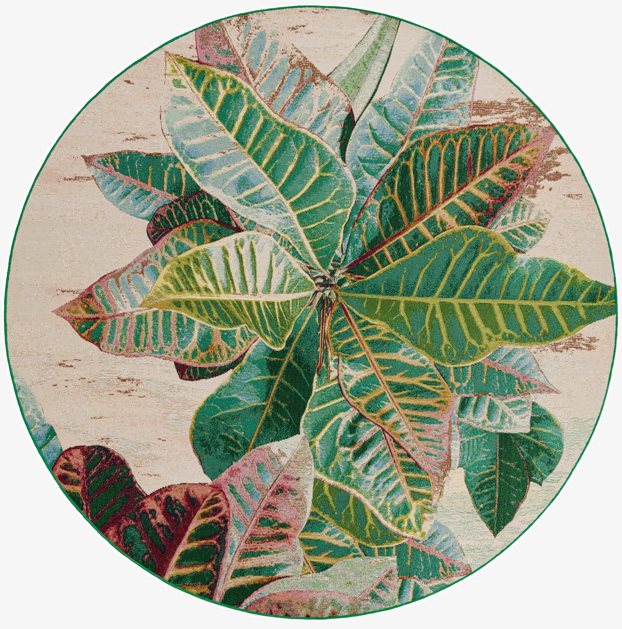 7' x 7'  Washable Botanical Indoor / Outdoor Round Rug