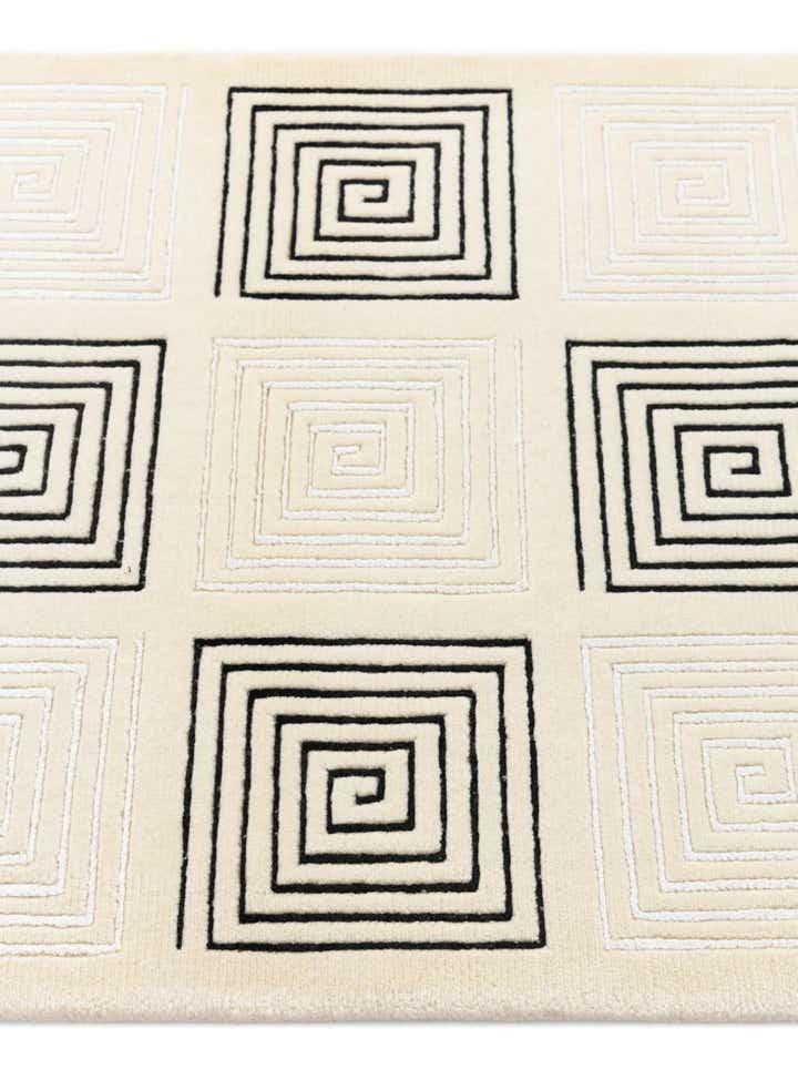 2' 8 x 9' 9 Hand Knotted Darya Wool Runner Rug