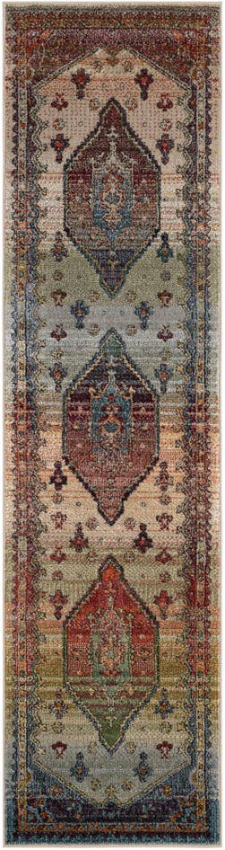 Detail image of 2' x 8' Isabella Runner Rug