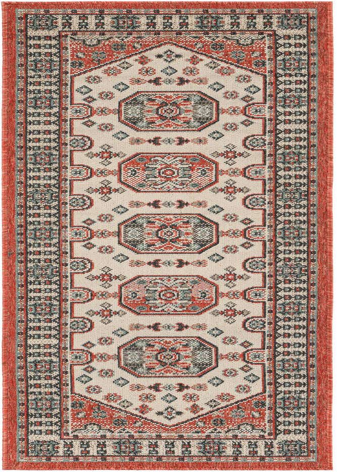 2' x 6' Easy-Clean Traditional Indoor / Outdoor Runner Rug