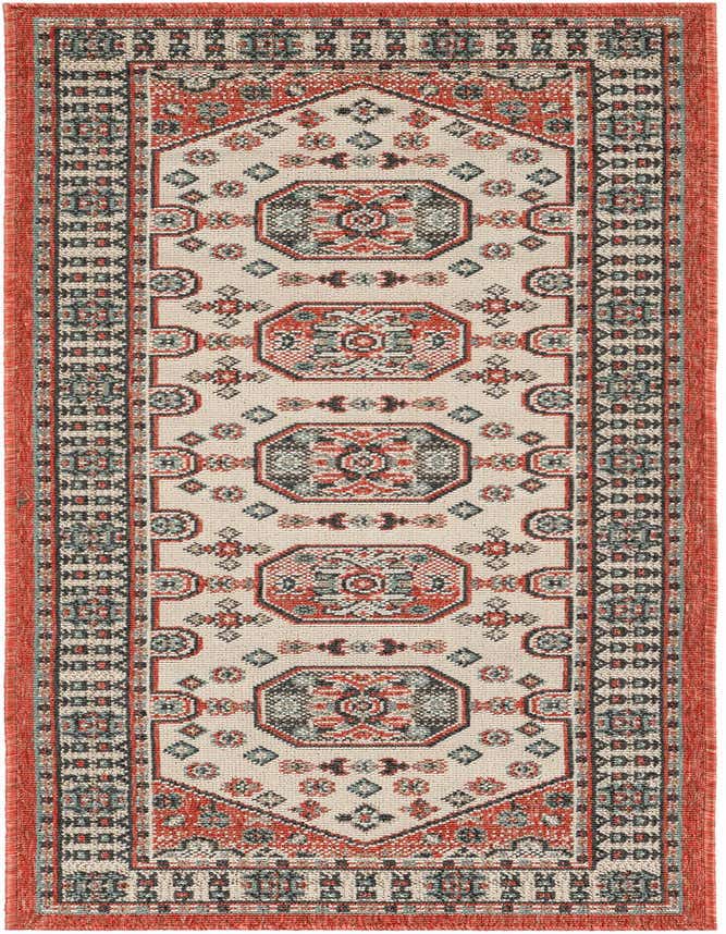 2' x 6' Easy-Clean Traditional Indoor / Outdoor Runner Rug
