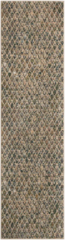 Detail image of 2' 7 x 10' Stella Runner Rug