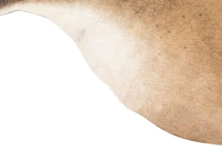 6' 2 x 6' 6 Cowhide Leather Square Rug