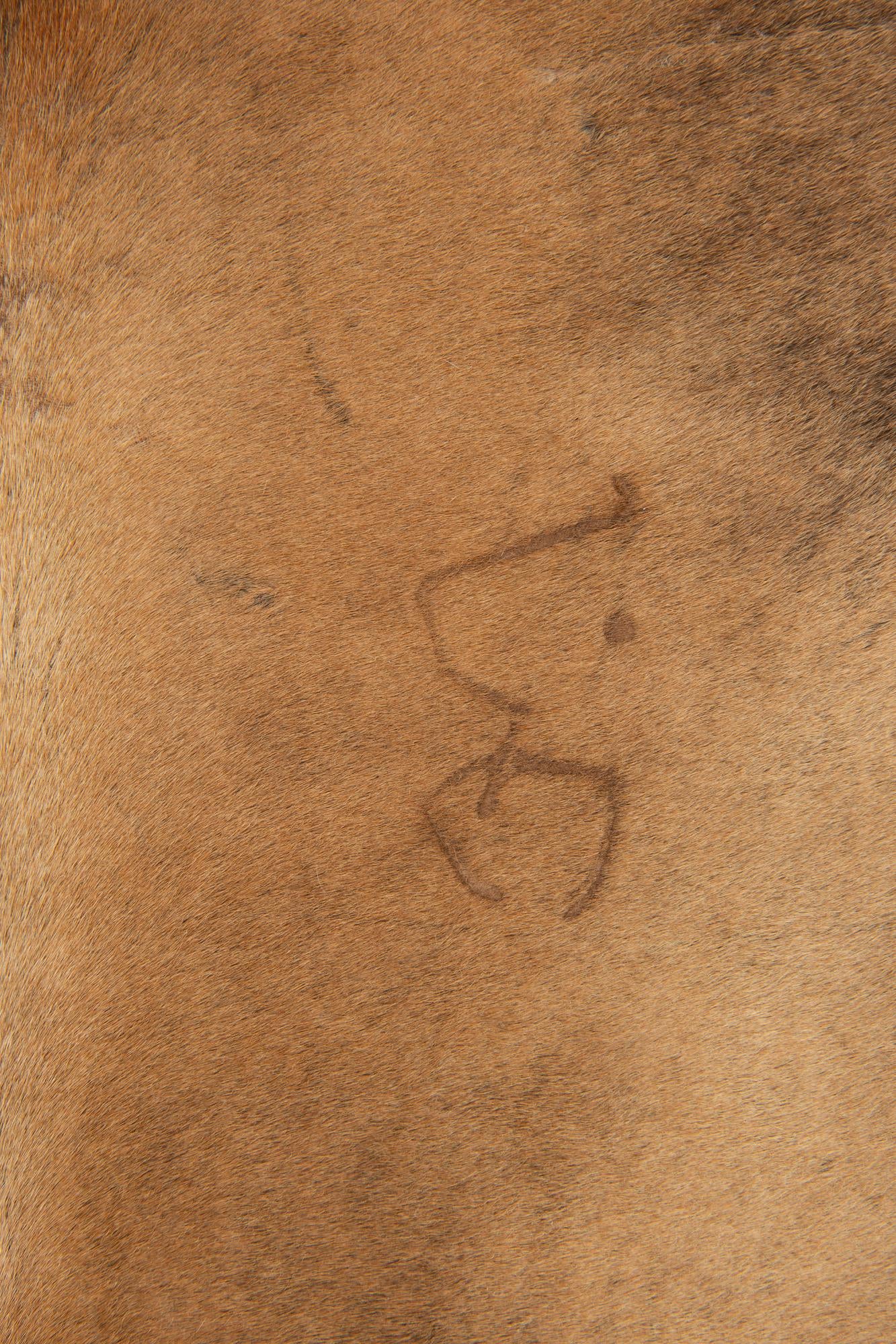 6' 2 x 6' 6 Cowhide Leather Square Rug